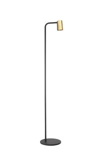 Sal Floor Lamp 1 Light GU10, Satin Gold/Matt Black