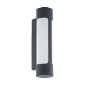 Tonego 2 Light LED Outdoor Anthracite Wall Light With Plastic Diffuser