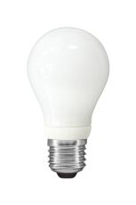 Super Mini GLS E27 9W 2700K Compact Fluorescent