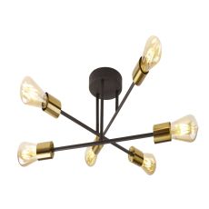 Armstrong 6 Light Ceiling Light Black And Satin Brass